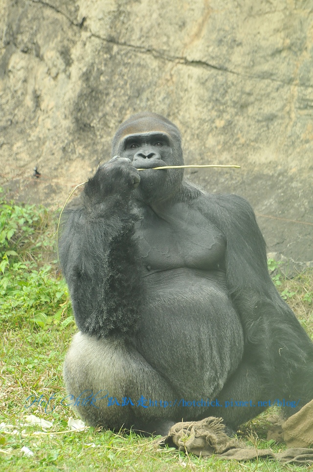 baubau05.jpg baubau05.jpg