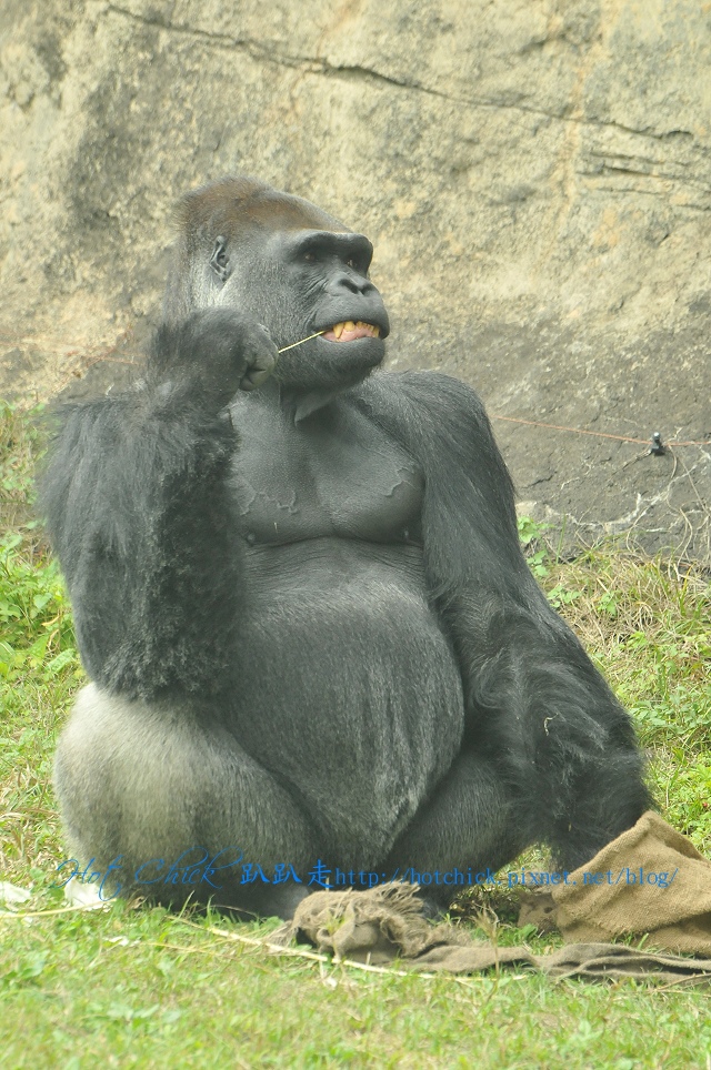 baubau06.jpg baubau06.jpg