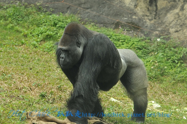 baubau07.jpg baubau07.jpg