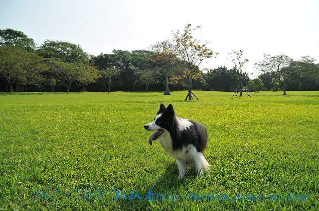 jump01.jpg jump01.jpg