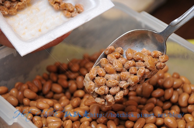 bean04.jpg bean04.jpg