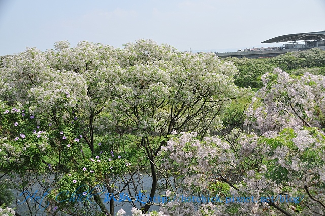 floor07.jpg floor07.jpg