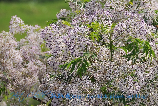 floor08.jpg floor08.jpg