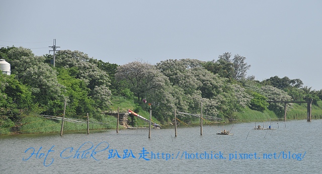 tree11.jpg tree11.jpg