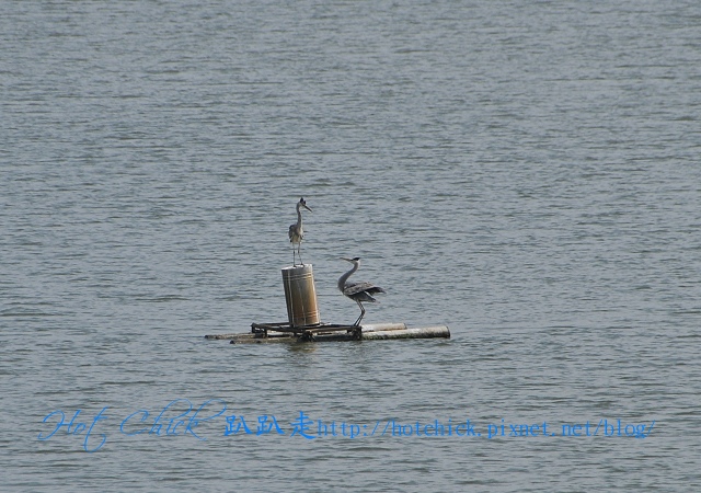 tree12.jpg tree12.jpg