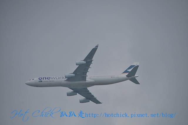 tree14.jpg tree14.jpg