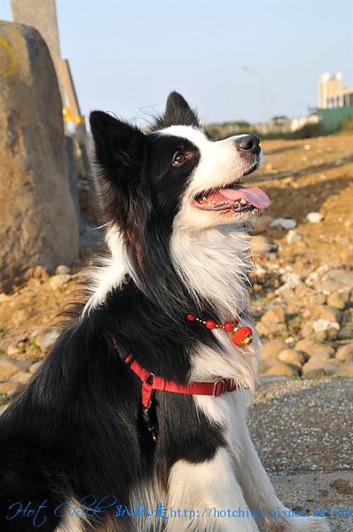 walk01.jpg walk01.jpg