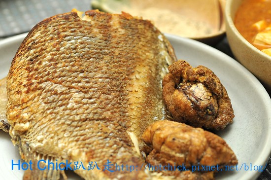 fish02.jpg fish02.jpg
