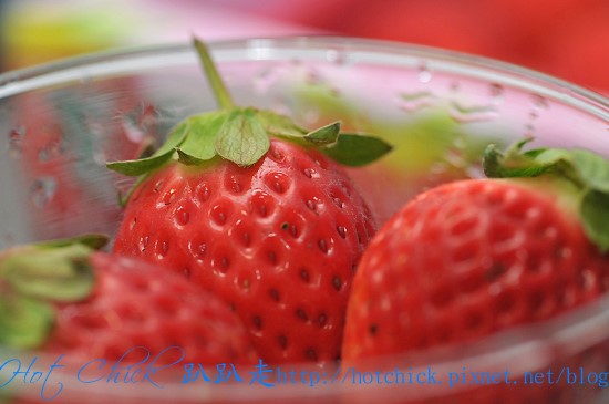 berry01.jpg berry01.jpg
