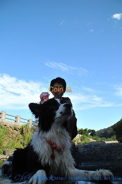 ball01.jpg ball01.jpg