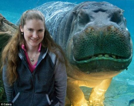 happy-hippo-2.jpg happy-hippo-2.jpg