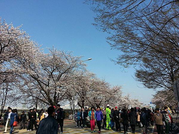 644316_10152758080885521_1316371056_n