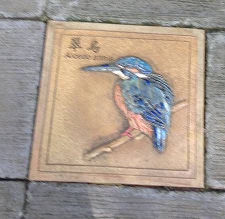 20140201_IMG_0314.JPG 20140201_IMG_0314.JPG