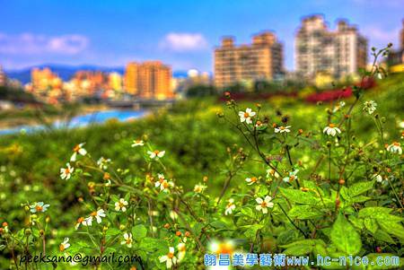 上河三峽水岸