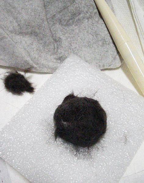 1920572_10201370510451079_2143702612_n