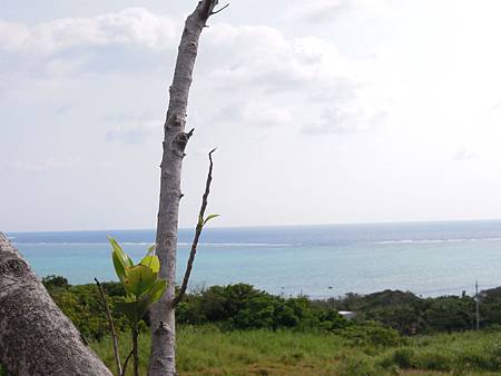 DSCN0841.JPG DSCN0841.JPG