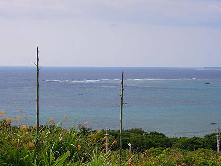 DSCN0881.JPG DSCN0881.JPG