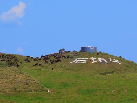 DSCN0895.JPG DSCN0895.JPG