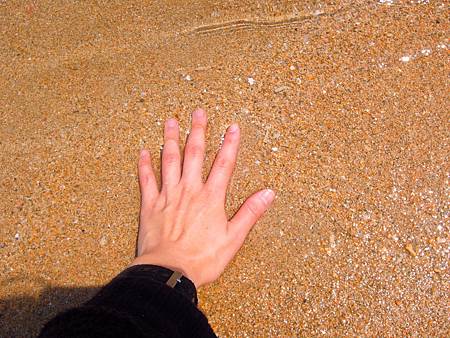 DSCN0977.JPG DSCN0977.JPG