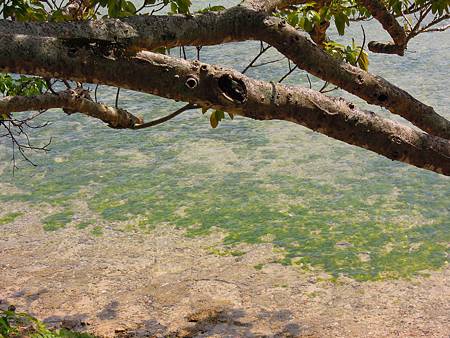 DSCN1013.JPG DSCN1013.JPG