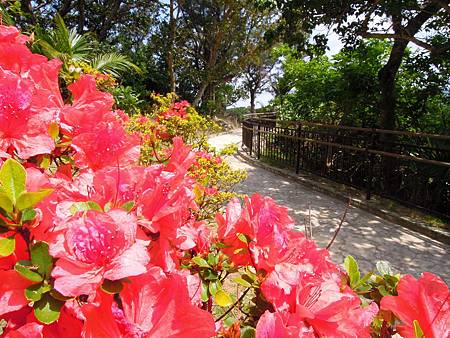 DSCN1019.JPG DSCN1019.JPG