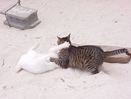 DSCN1045.JPG DSCN1045.JPG