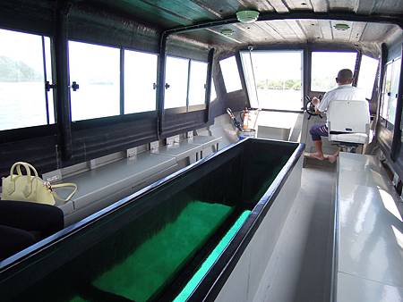 DSCN1081.JPG DSCN1081.JPG