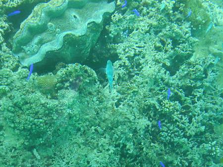 DSCN1088.JPG DSCN1088.JPG