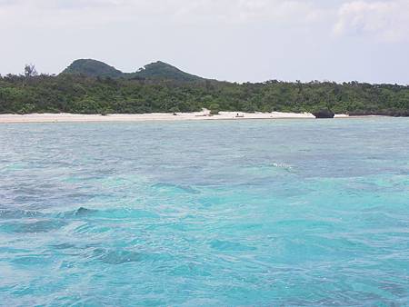 DSCN1130.JPG DSCN1130.JPG