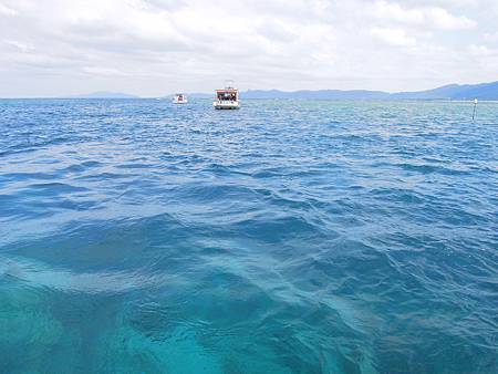 DSCN1138.JPG DSCN1138.JPG