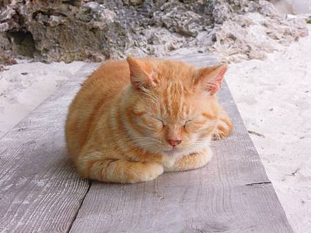 DSCN1172.JPG DSCN1172.JPG