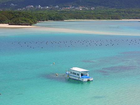 DSCN1194.JPG DSCN1194.JPG