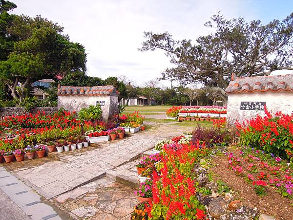 DSCN1469.JPG DSCN1469.JPG