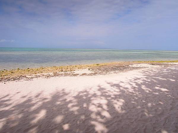 DSCN1503.JPG DSCN1503.JPG