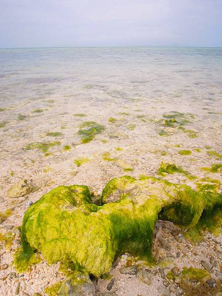 DSCN1530.JPG DSCN1530.JPG