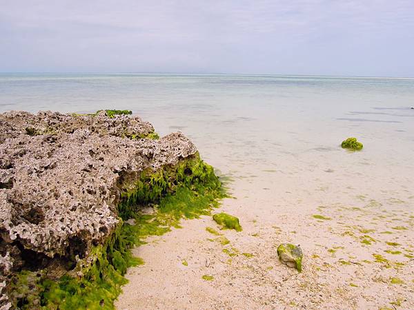 DSCN1541.JPG DSCN1541.JPG