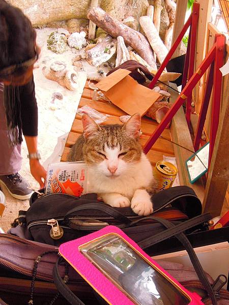 DSCN1573.JPG DSCN1573.JPG