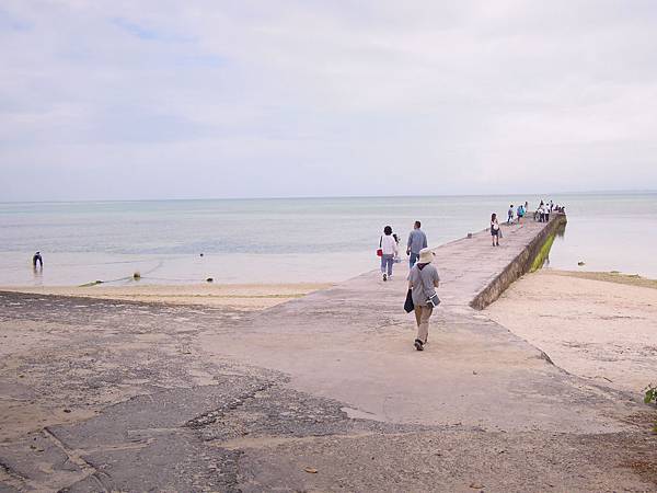 DSCN1630.JPG DSCN1630.JPG