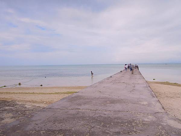 DSCN1632.JPG DSCN1632.JPG