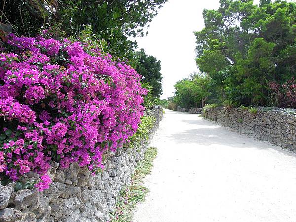 DSCN1677.JPG DSCN1677.JPG