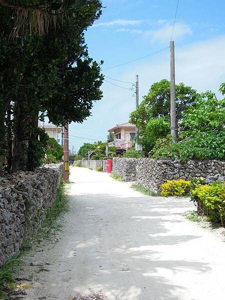 DSCN1689.JPG DSCN1689.JPG