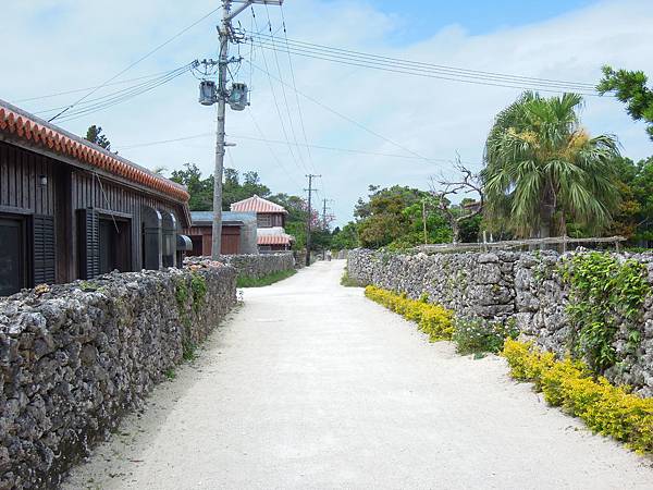 DSCN1698.JPG DSCN1698.JPG