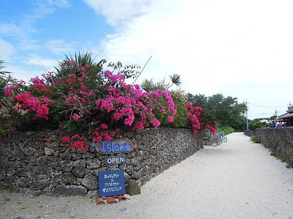 DSCN1707.JPG DSCN1707.JPG