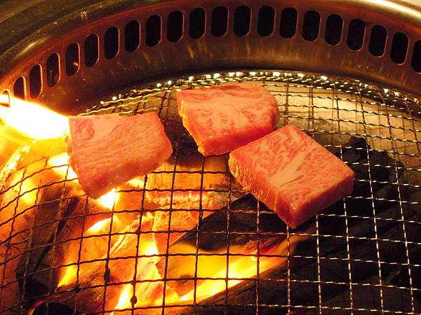 DSCN4069.JPG DSCN4069.JPG