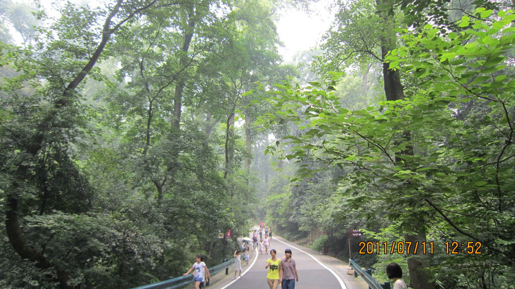 IMG_1691.JPG IMG_1691.JPG