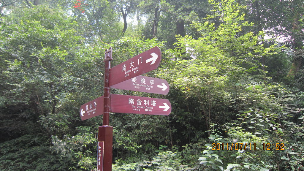 IMG_1693.JPG IMG_1693.JPG