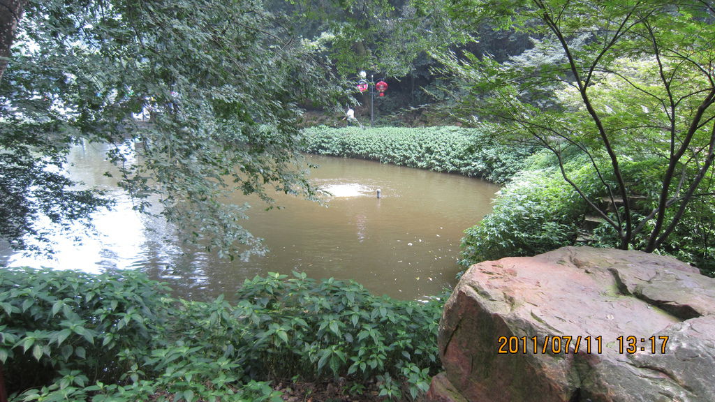 IMG_1755.JPG IMG_1755.JPG