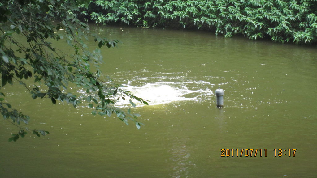 IMG_1756.JPG IMG_1756.JPG