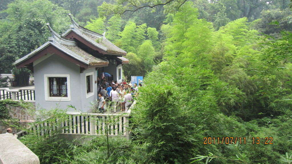 IMG_1767.JPG IMG_1767.JPG