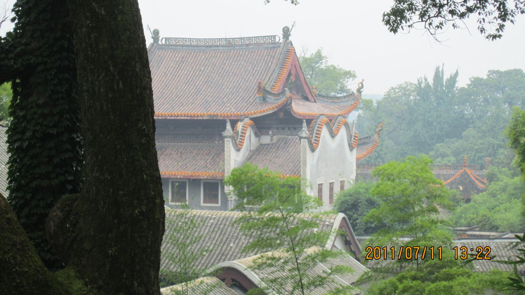 IMG_1768.JPG IMG_1768.JPG